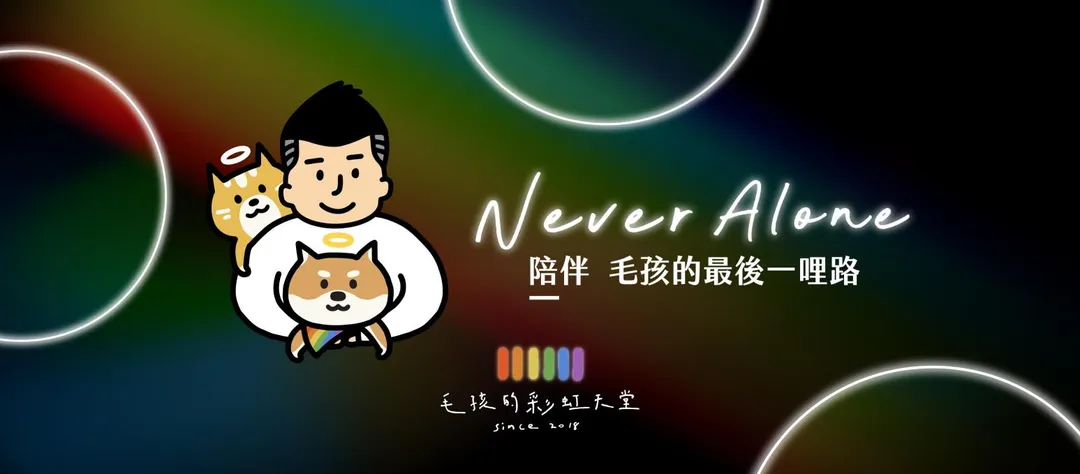 毛孩的彩虹天堂主要業務為協助流浪動物領養、協尋與送行。(圖/翻攝自毛孩的彩虹天堂臉書)