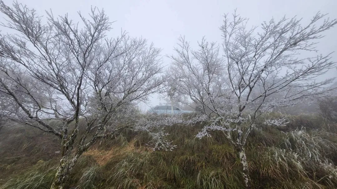 宜蘭太平山現冰霰、霧淞。（圖／翻攝自太平山國家森林遊樂區臉書，下同）