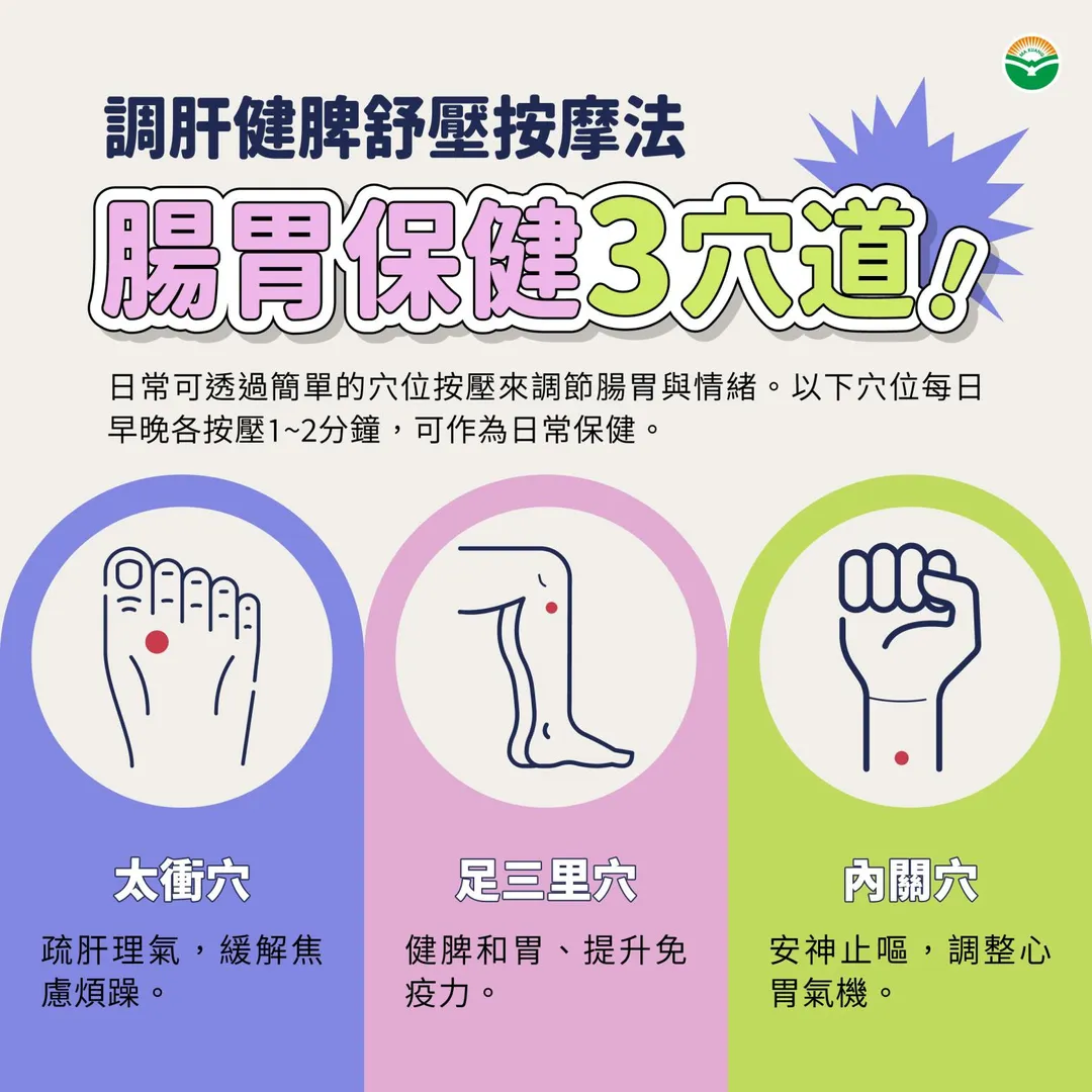 除了飲食,歐俊佑建議日常可透過穴位按壓調節腸胃與情緒。(圖/馬光中醫)