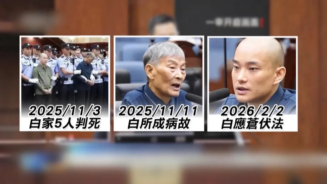 緬北白家覆滅記：從果敢王到全家死刑，1500億電詐帝國崩塌！白所成臨終遺言曝光：我想當普通人。（圖／金牌特派）