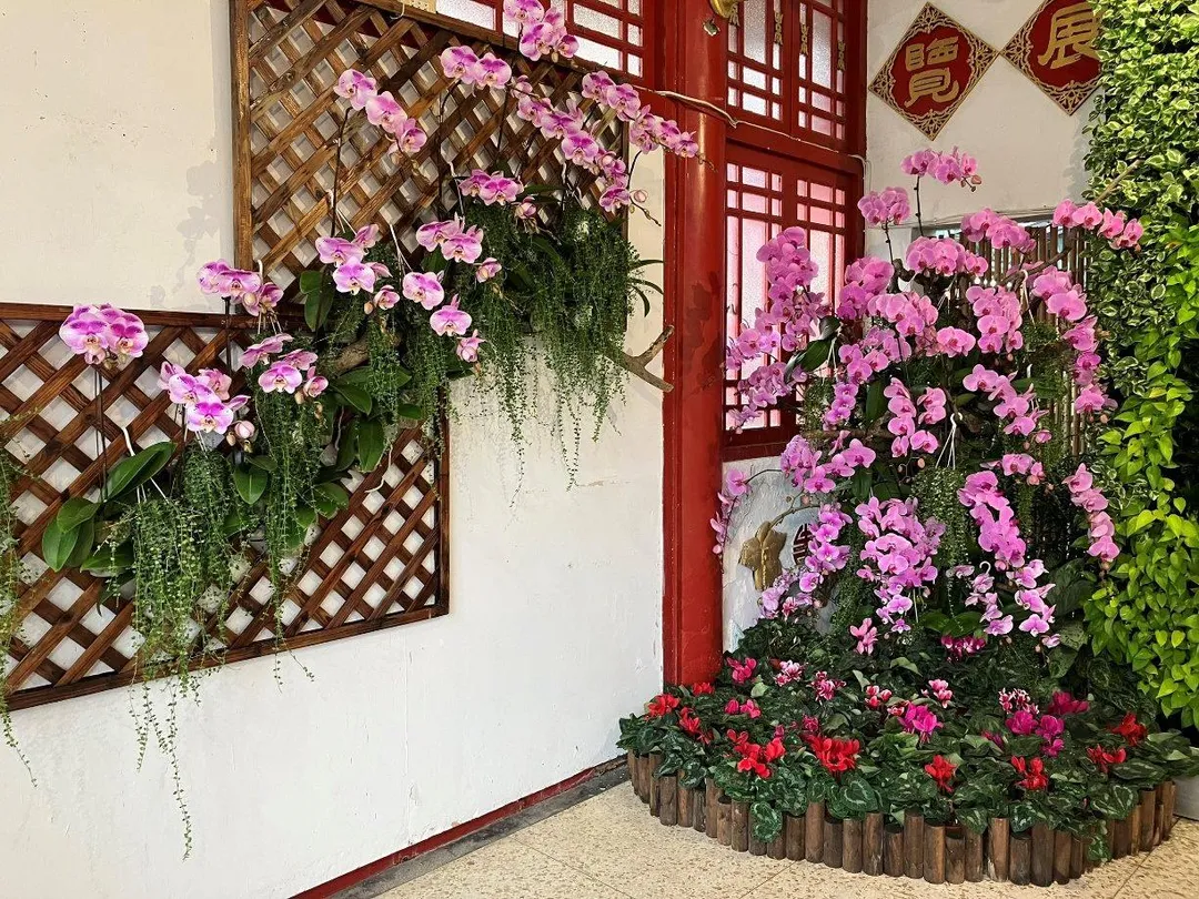 士林官邸新蘭亭入口設有蝴蝶蘭花牆，遊客不妨在此打卡留下馬年開春最美回憶。（圖／台北市政府公園處提供）