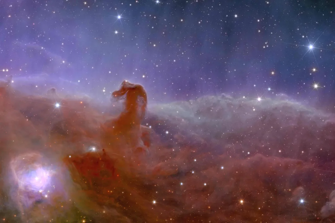 歐幾里得太空望遠鏡拍攝的「馬頭星雲」。(圖/台北市立天文科學教育館)