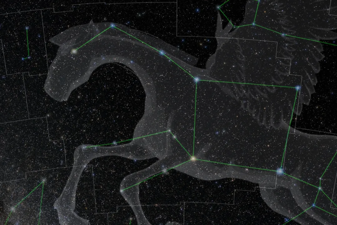 飛馬座星空示意圖。(圖/台北市立天文科學教育館)