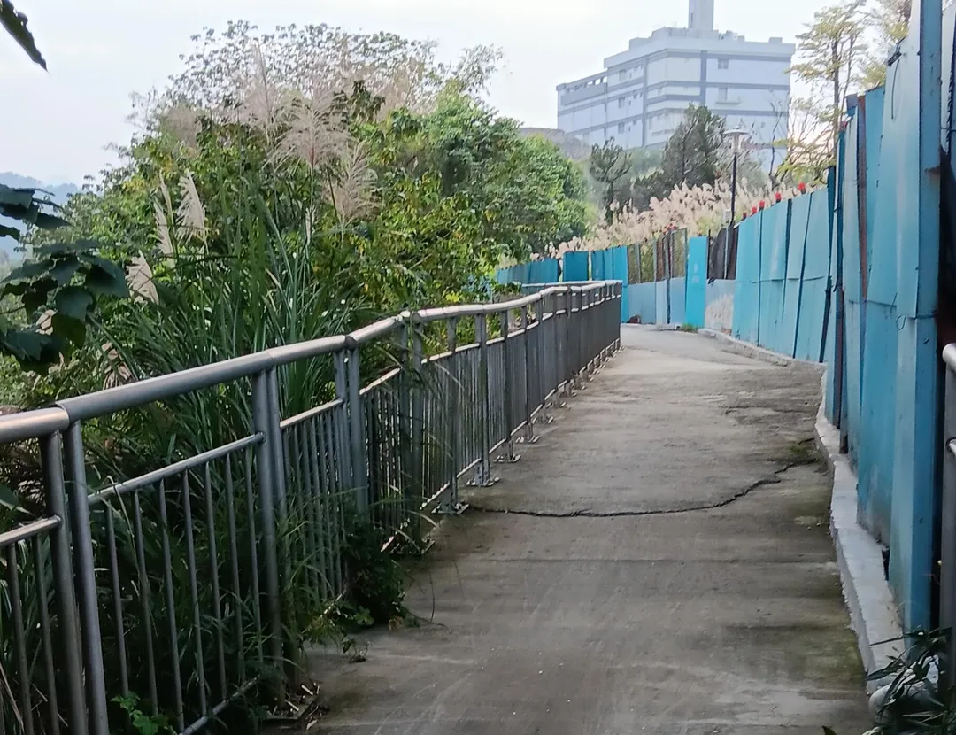 三峽河自行車道路面老舊+高灘處與捷運合作安排鋪面改善工程。（圖／新北市政府）