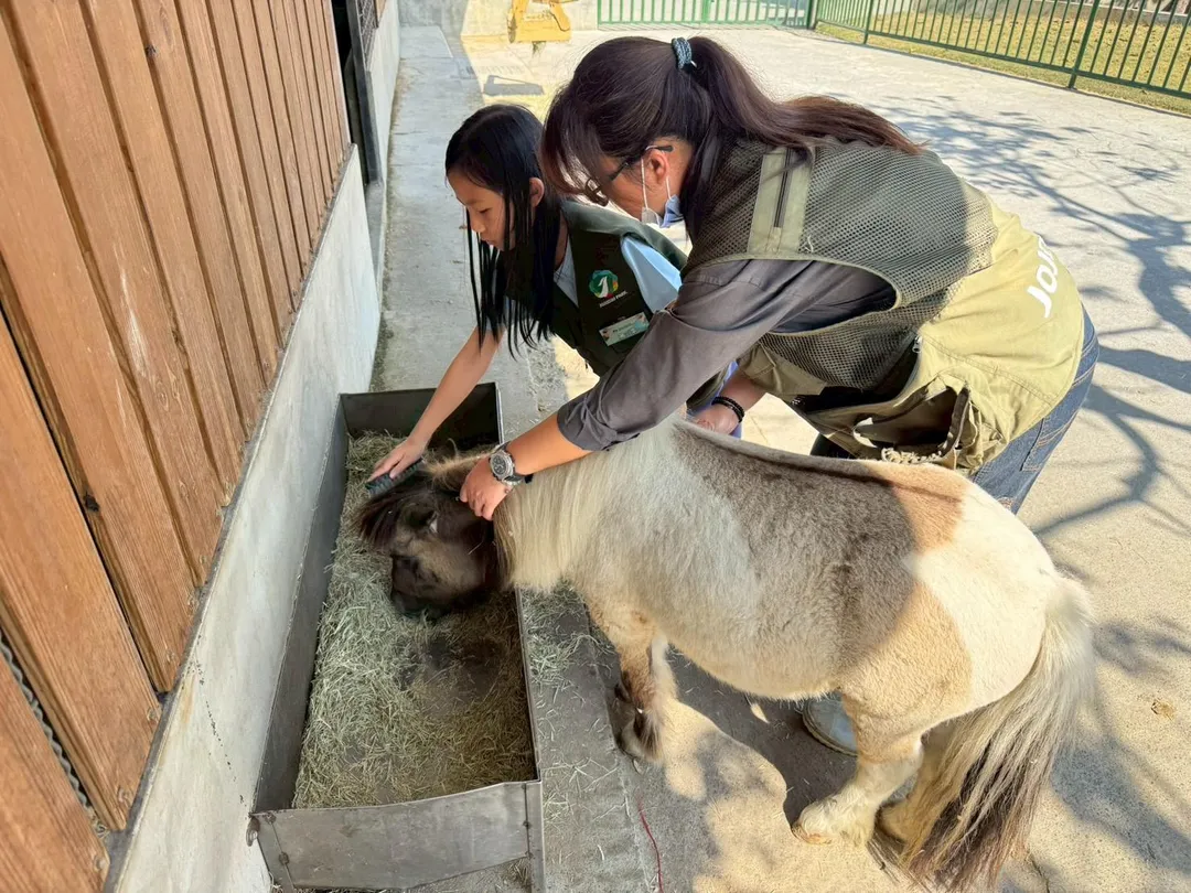 九九峰動物樂園並啟動「生命守護計畫」，派遣核心獸醫團隊進駐，為場內動物進行全面健檢。圖非萌寵農場。（圖／翻攝九九峰動物樂園臉書）