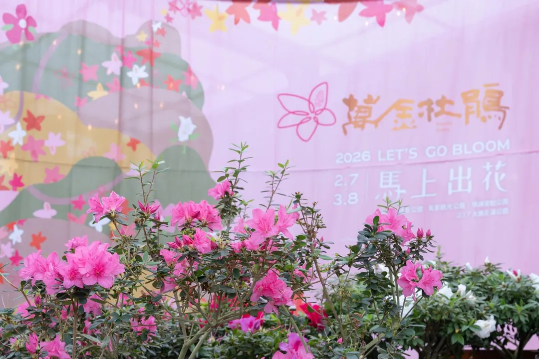 杜鵑之美已是一場在喧囂中尋找安靜角落的心靈療癒之旅。(圖/新北市政府農業局提供)