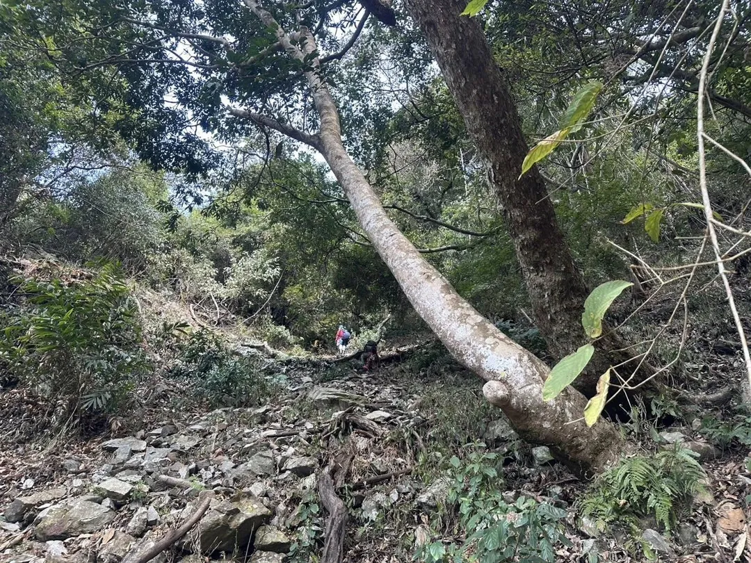 從照片記錄可見，尋獲地點附近地勢陡峭。（圖／翻攝自Facebook@臺中市政府消防局第二救災救護大隊谷關分隊）
