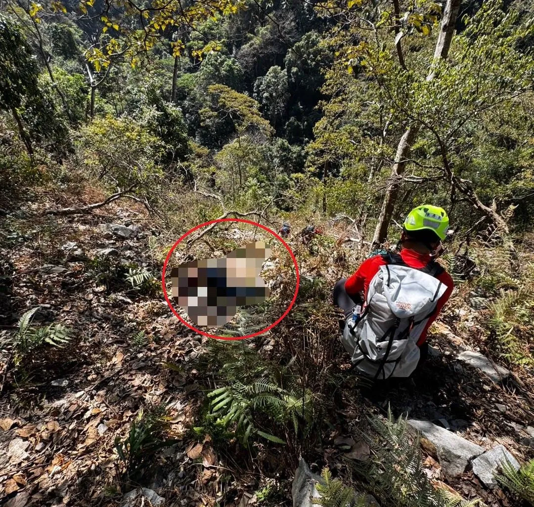 葉姓男子6日早上獨自前往台中八仙山登山後失聯，救難人員14日在步道南側山坡找到葉男遺體。（圖／翻攝自Facebook@臺中市政府消防局第二救災救護大隊谷關分隊）