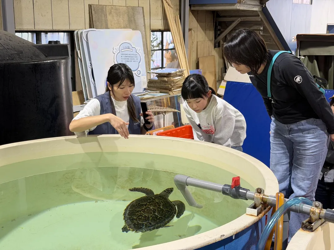鯨豚協會專員帶民眾認識海龜。（圖／新北市政府動物保護防疫處提供）