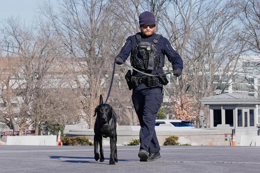 警察帶著警犬在國會大廈附近巡邏。(圖/美聯社)