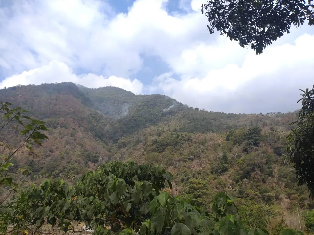 國軍陸航部隊於農曆春節期間緊急出動大型直升機,成功控制南投埔里山區一場嚴重森林火災。(圖/中天新聞)