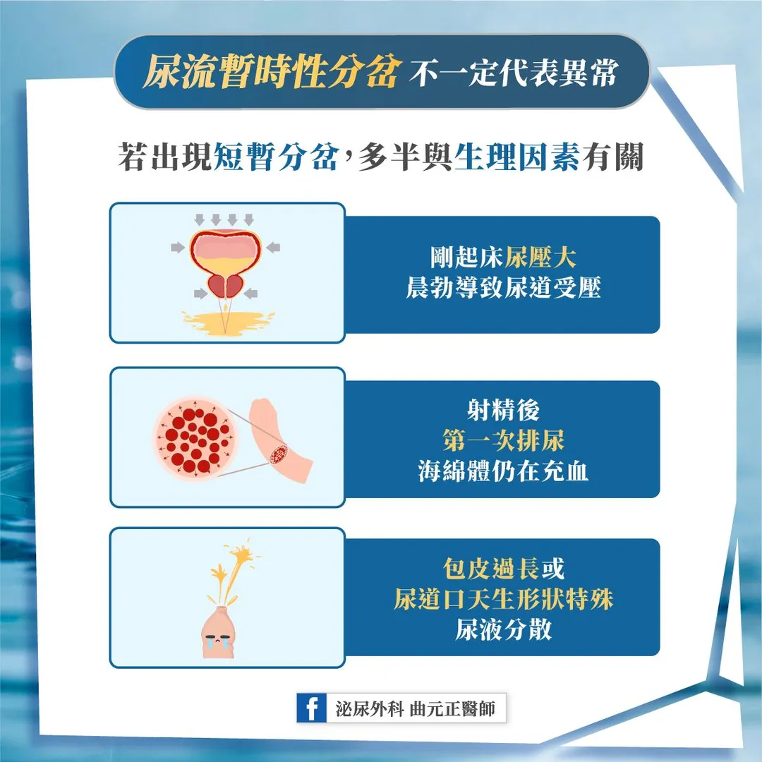 小便分岔不一定是攝護腺問題，有些只是短暫的生理現象。（圖／曲元正臉書「泌尿外科 曲元正醫師」）