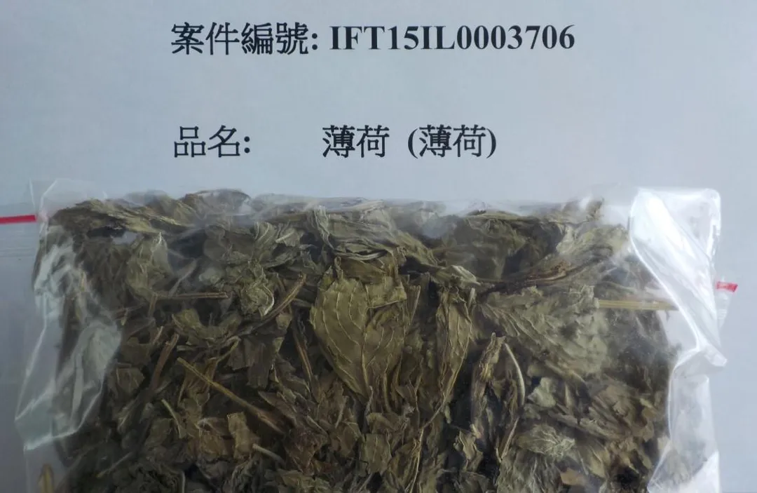 莊松榮製藥廠從大陸進口總重2950公斤的「薄荷」，檢驗結果顯示5種農藥殘留超標。（圖／食藥署）