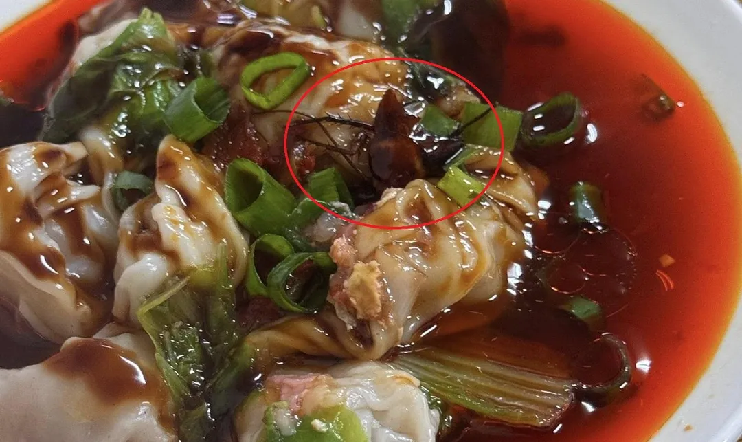 民眾到苗栗一間水餃麵食館用餐驚見「蟑螂頭」。（圖／翻攝自臉書●【爆料公社】●）