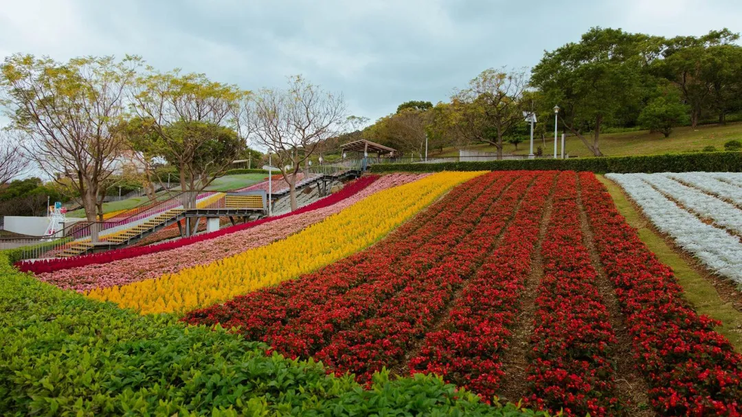 三層崎花海。（圖／台北市政府提供）