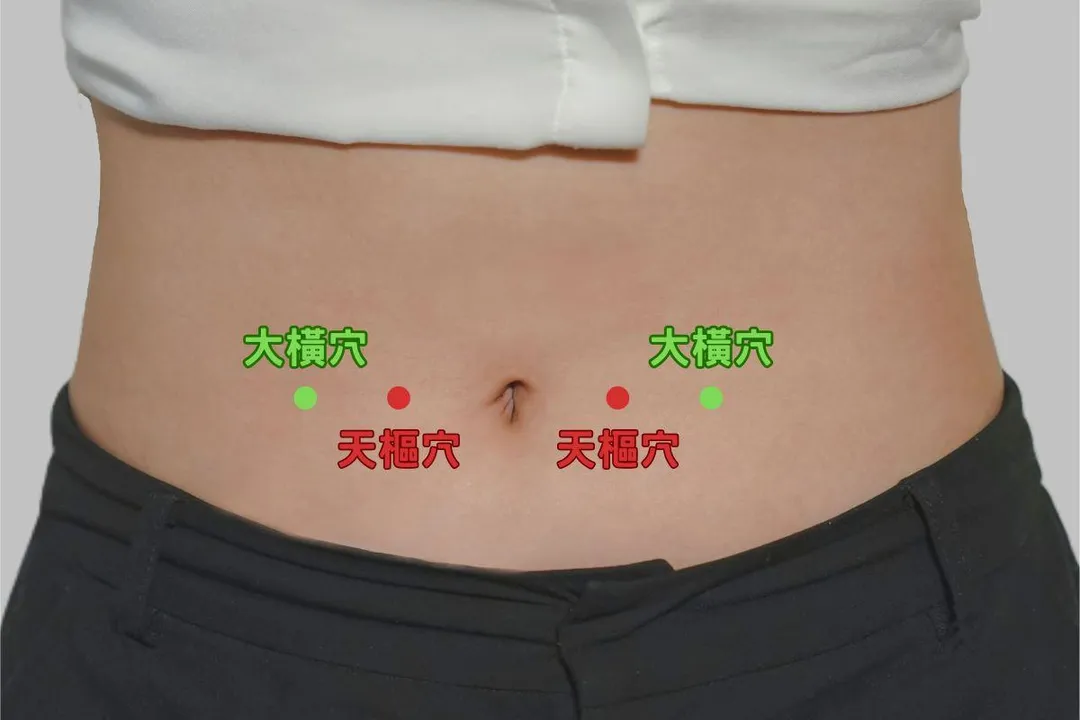雙手握拳，輕敲肚臍兩側約三指寬處的天樞穴，及天樞外側三指寬處的大橫穴，持續3至5分鐘，可協助調理腸胃蠕動。（圖／台北慈濟醫院）