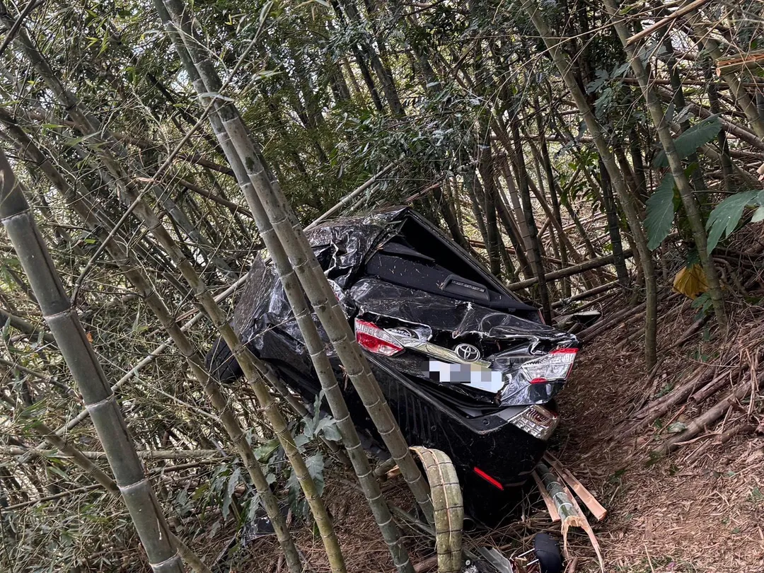 謝東哲的車恰好被竹林「接住」。（圖／翻攝畫面）