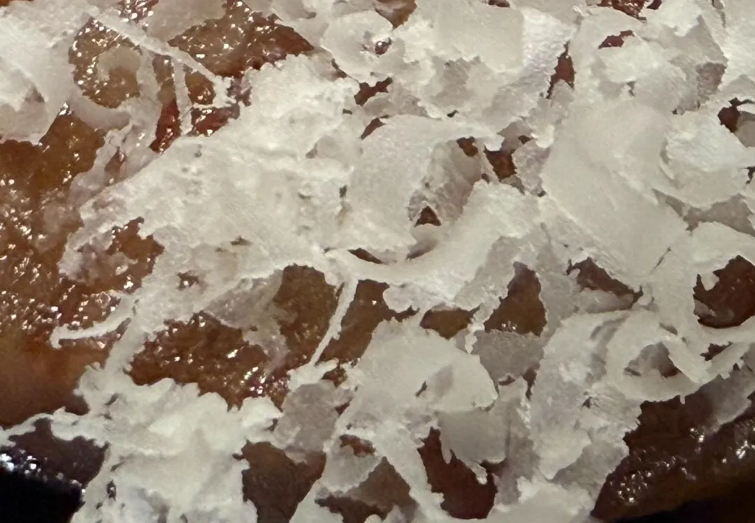 夏威夷豆刨屑。（圖／黃宏輝提供）