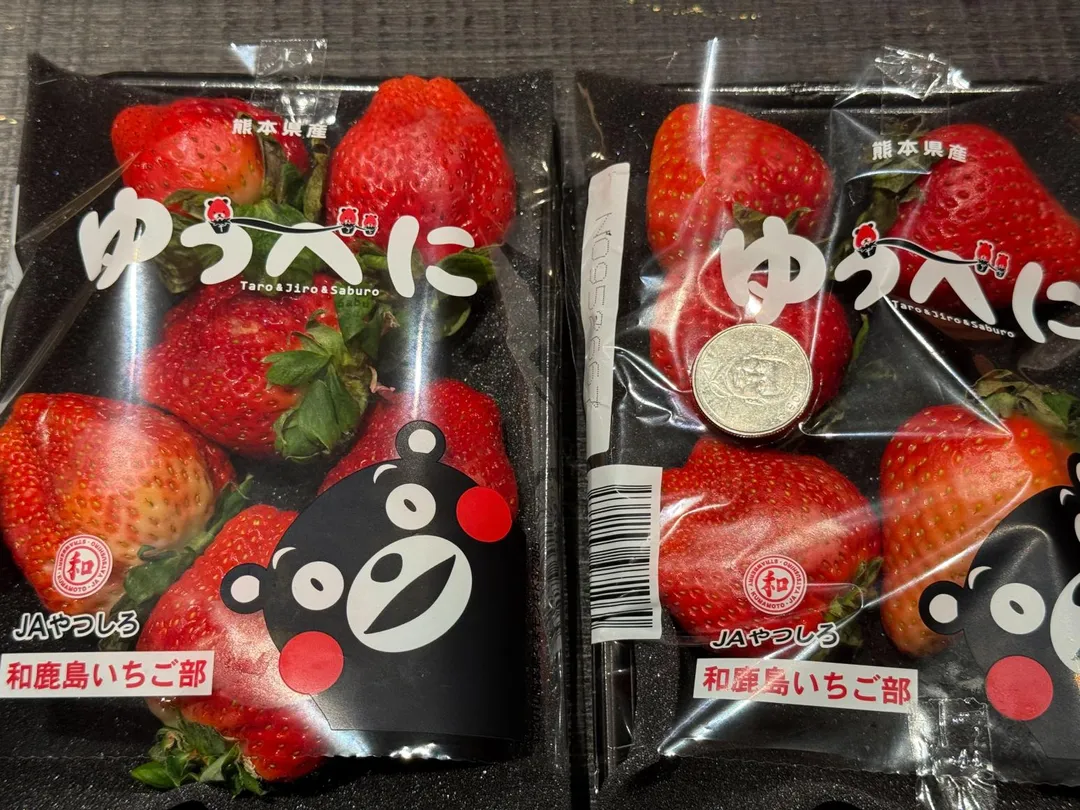 熊本夢未來大草莓的比例。（圖／黃宏輝提供）