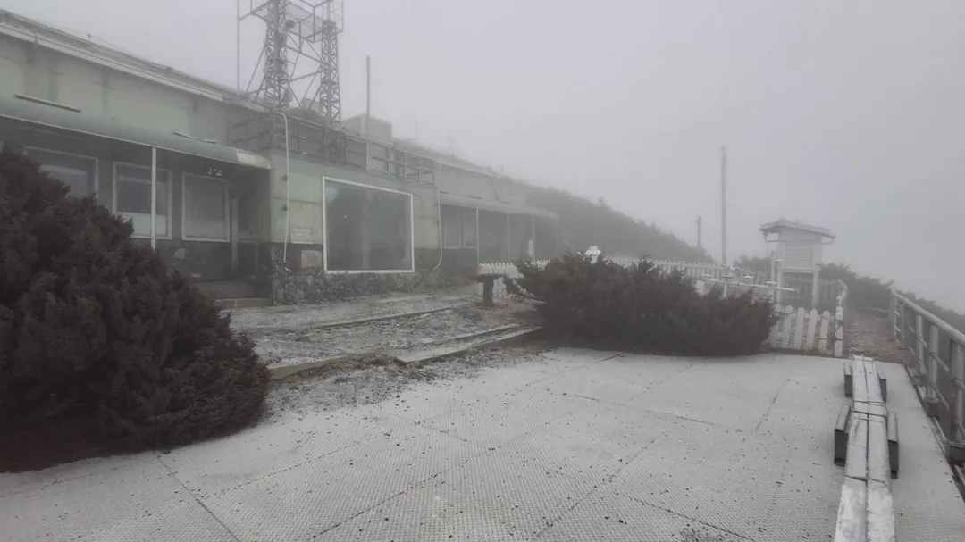 地上雪白猶如糖霜一片。(圖/中央氣象署提供)