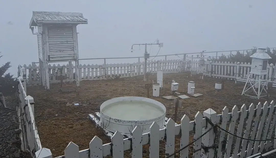 玉山今天中午又下雪。（圖／中央氣象署，下同）