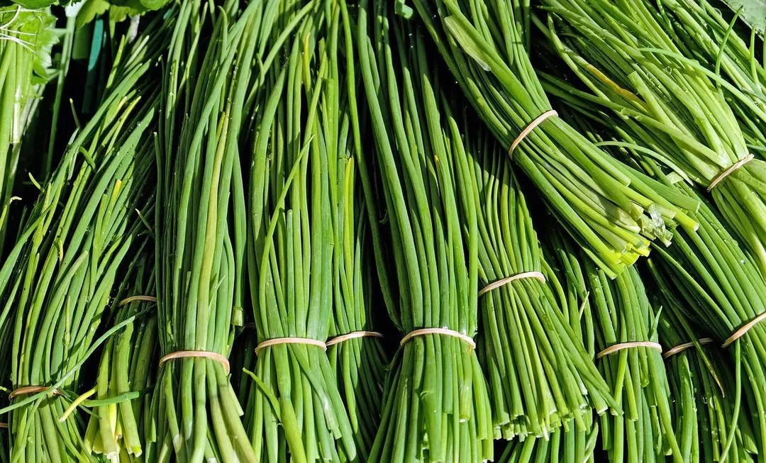 韭菜在中醫裡常被稱為「春季養陽之菜」，適量食用有助於陽氣升發與氣血循環，不過還是建議適量即可。（示意圖／Pixabay）