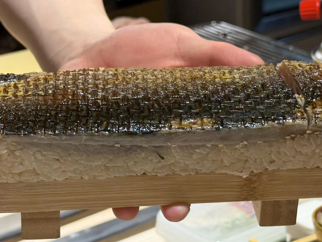 鯖魚皮閃亮金銀鎧甲。（圖／黃宏輝提供）