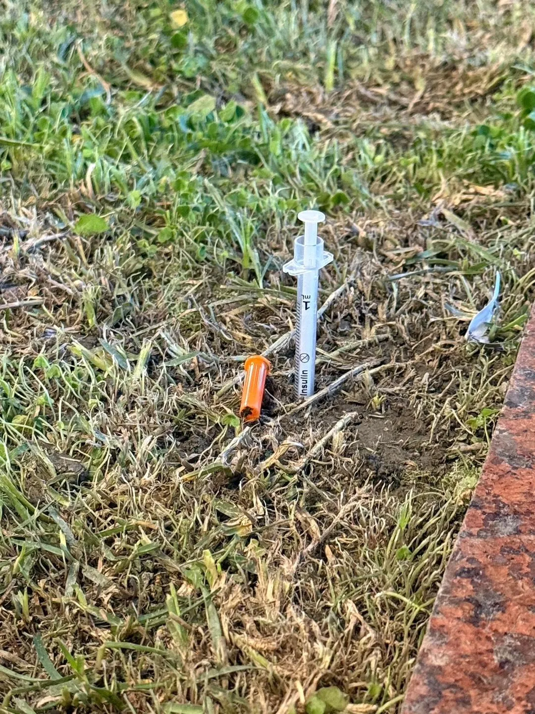 警方在一旁花圃找到的針筒。（圖／警方提供）