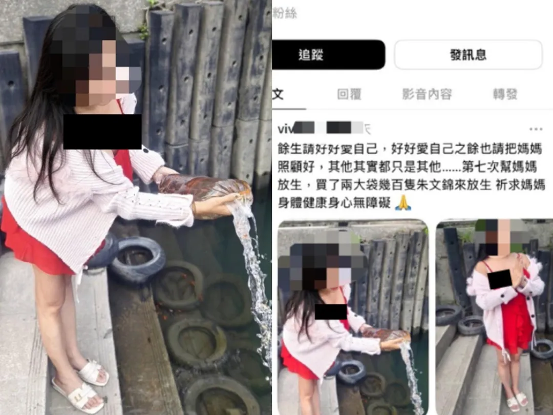 徐姓民眾放生實證。（圖／動保處提供）
