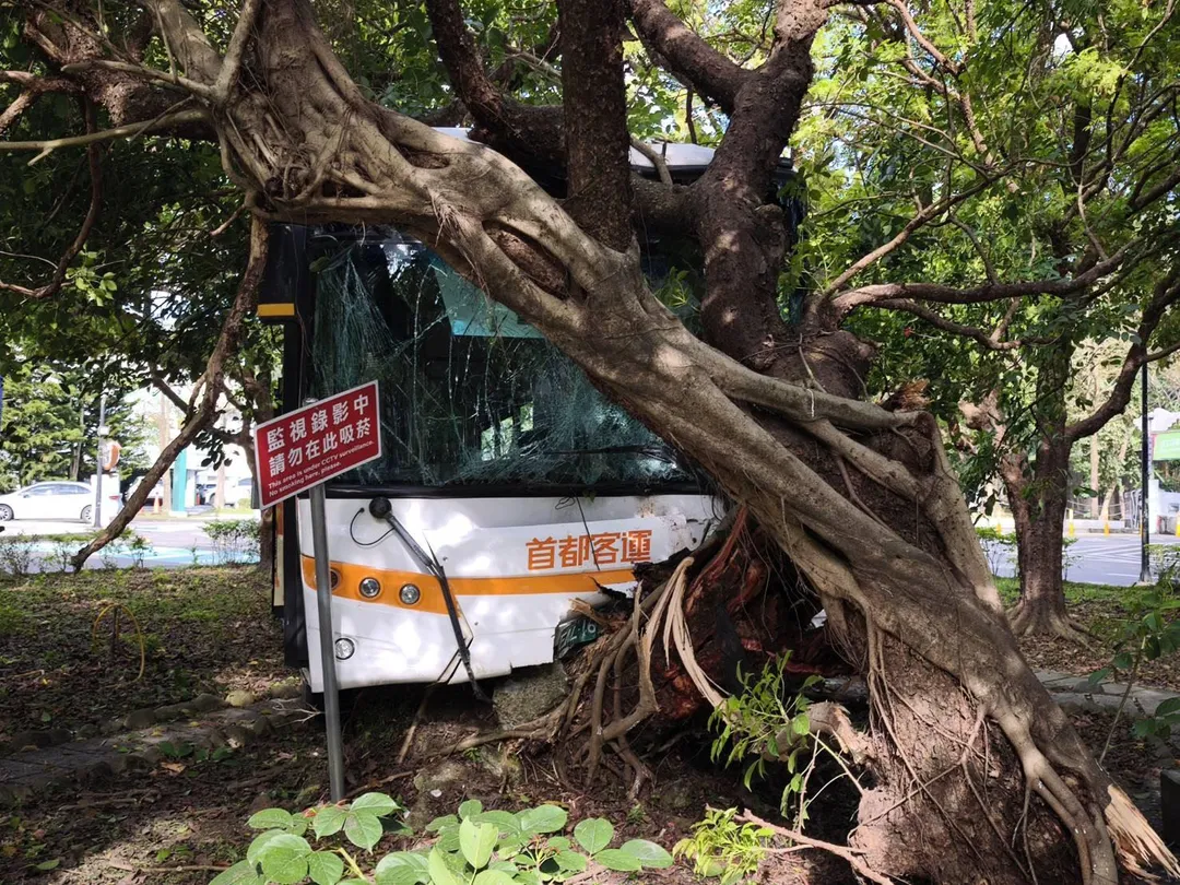 車禍現場。(圖/警方提供)