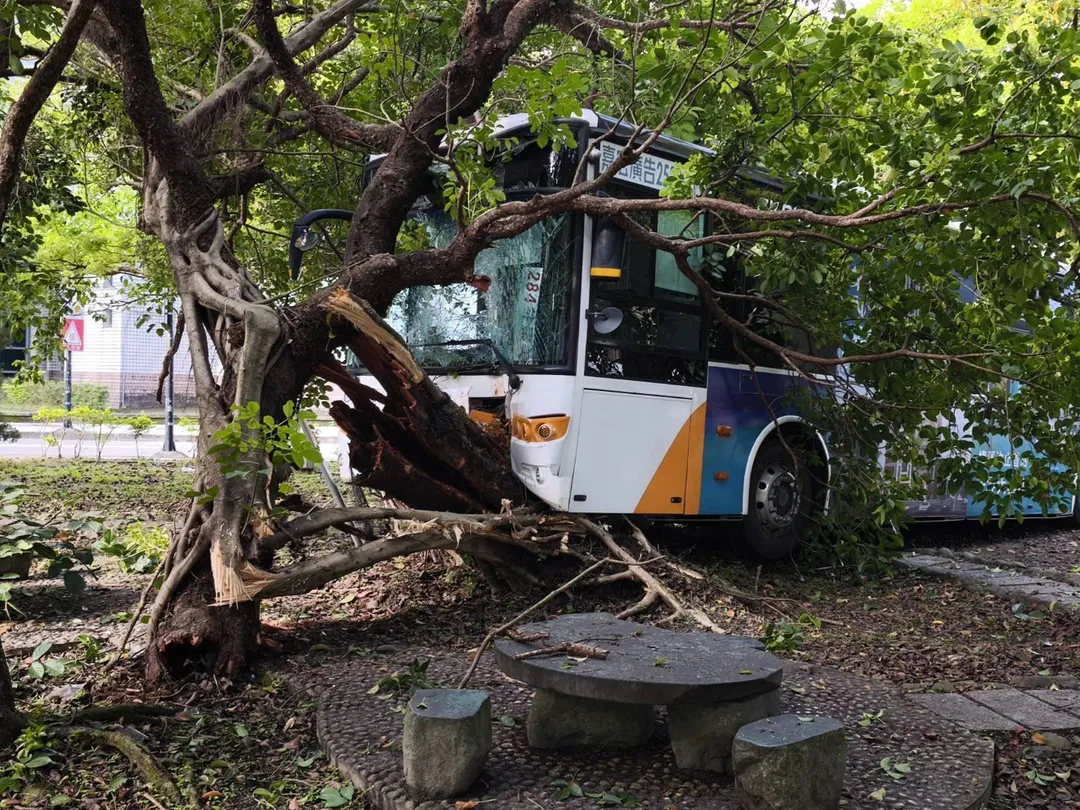 車禍現場。(圖/警方提供)