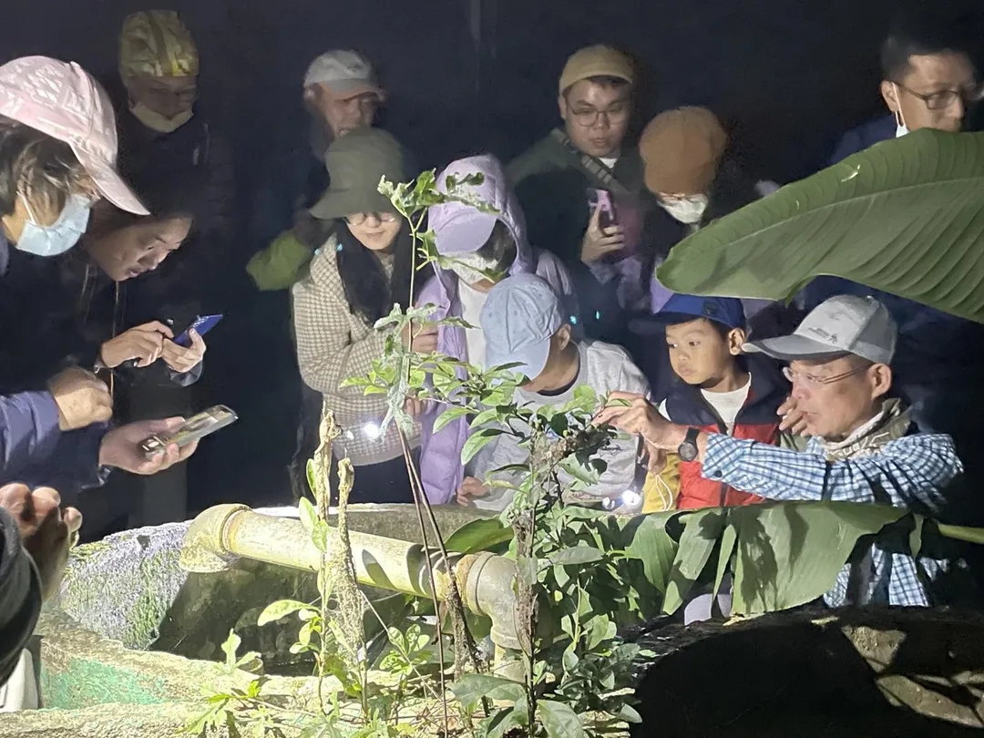 夜觀螢火蟲。(圖/池南自然教育中心)
