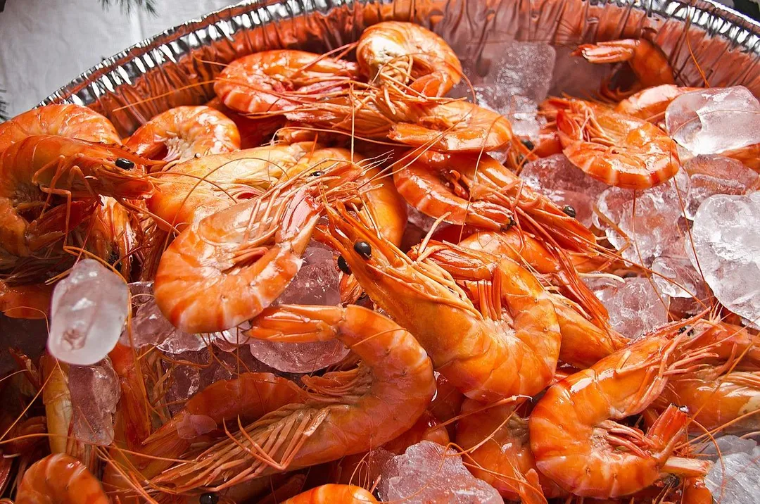 一名38歲男性在食用蝦類海鮮大餐後，突然出現全身皮膚潮紅、搔癢及頭暈症狀緊急就醫。（示意圖／Pixabay）