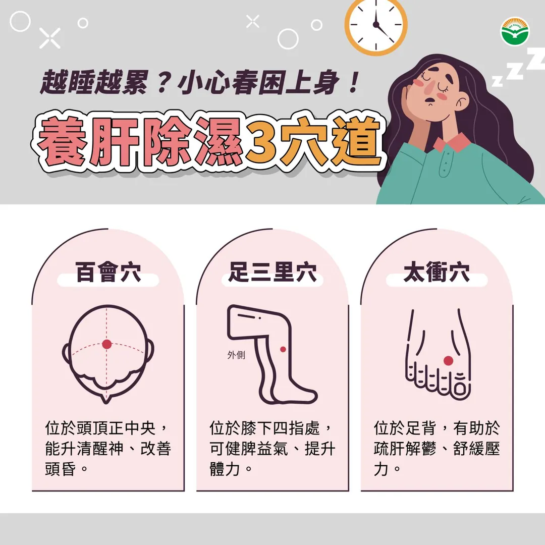 日常保養方面,莊博甯建議每天按壓百會穴、足三里與太衝穴各三至五分鐘。(圖/馬光中醫)