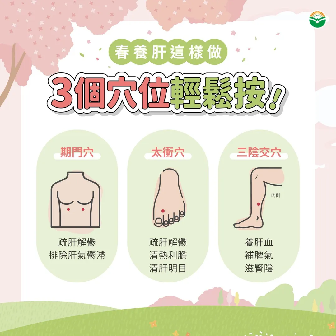 穴位按摩方面,陳宇芬醫師介紹三個養肝要穴。(圖/馬光中醫診所)