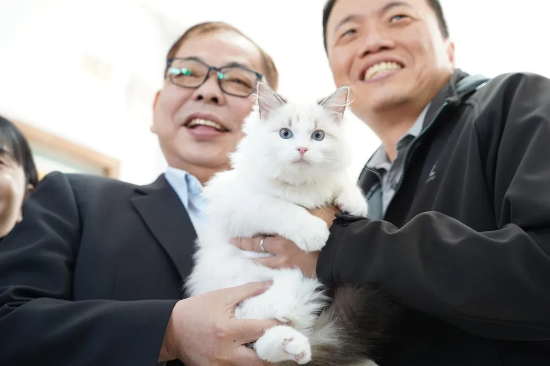 新竹縣副縣長陳見賢親赴現場關心待認養的貓咪。（圖／新竹縣政府提供）