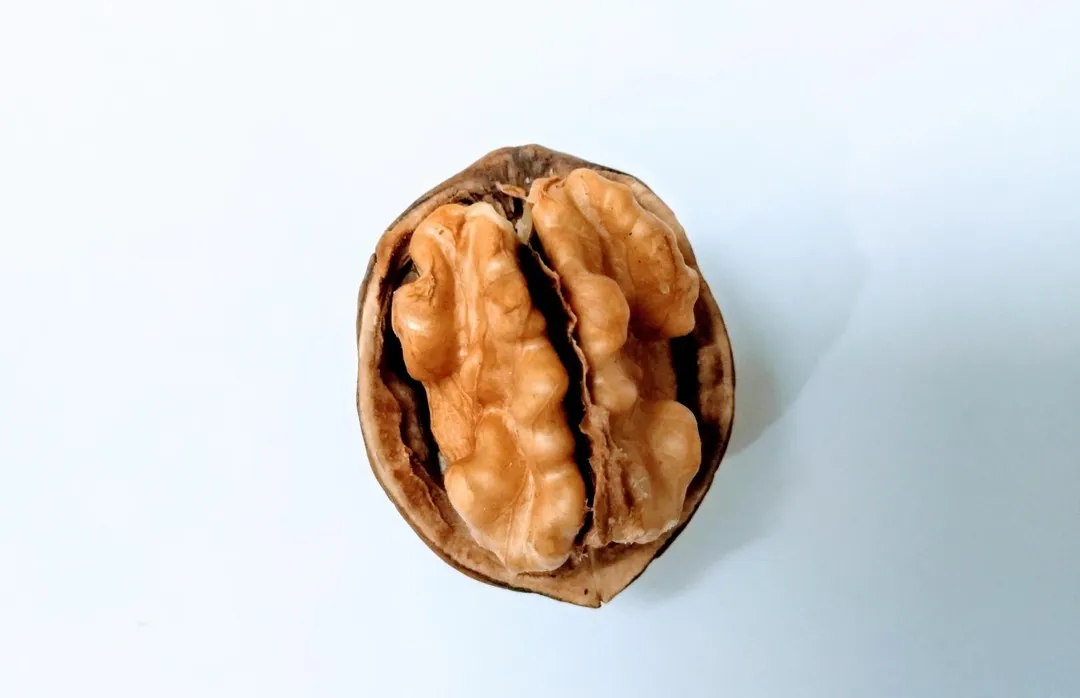 核桃因含有Omega-3脂肪酸與褪黑激素前驅物，研究發現能協助調節大腦神經傳導，穩定情緒、促進入睡。（示意圖／Pixabay）