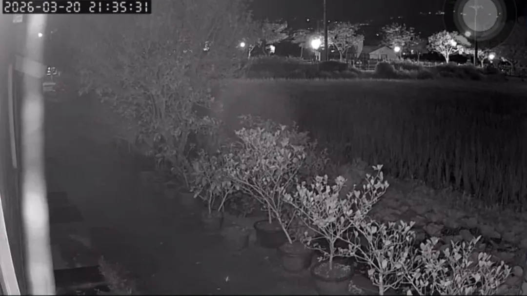 當地民眾分享的監視器影片記錄下震動全程，畫面中可見地鳴聲響及物品晃動情形。（圖／翻攝畫面）