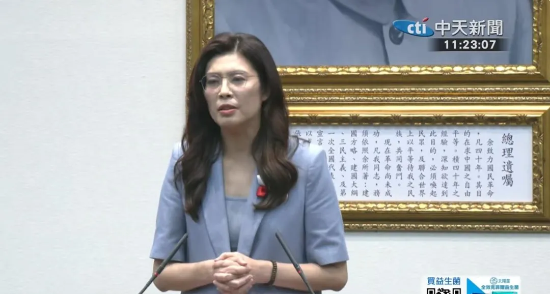 國民黨主席鄭麗文。(圖/中天新聞)