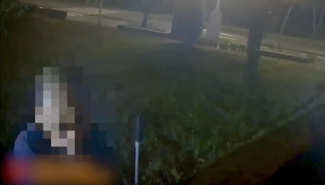 男子遭警方迅速逮獲辯稱心情不好。（圖／翻攝畫面）