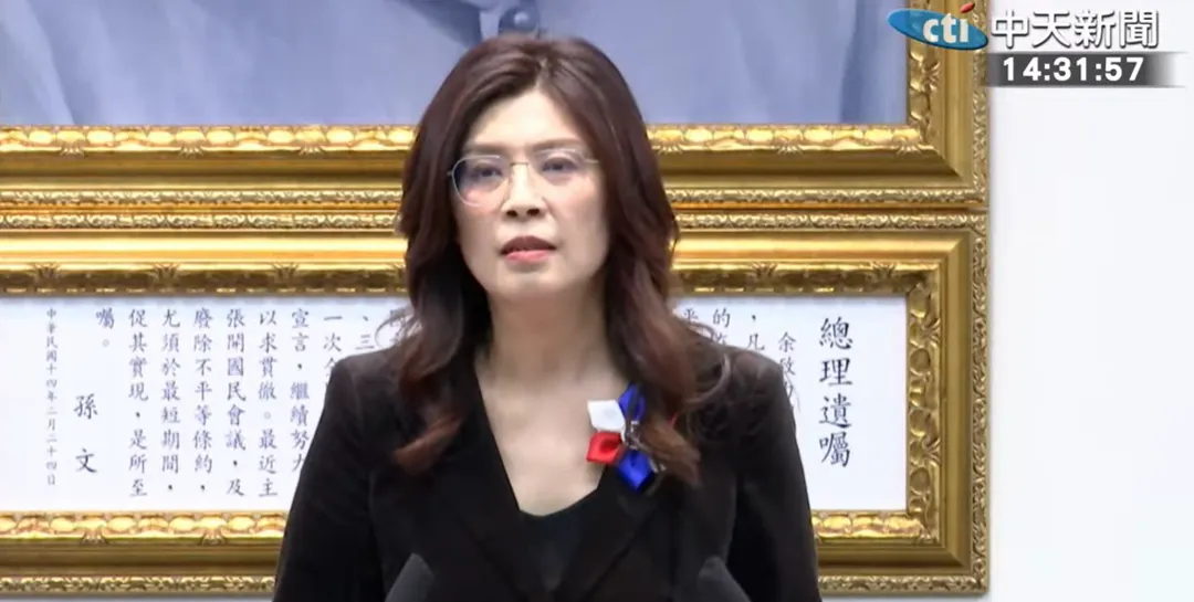 國民黨主席鄭麗文。（圖／中天新聞）