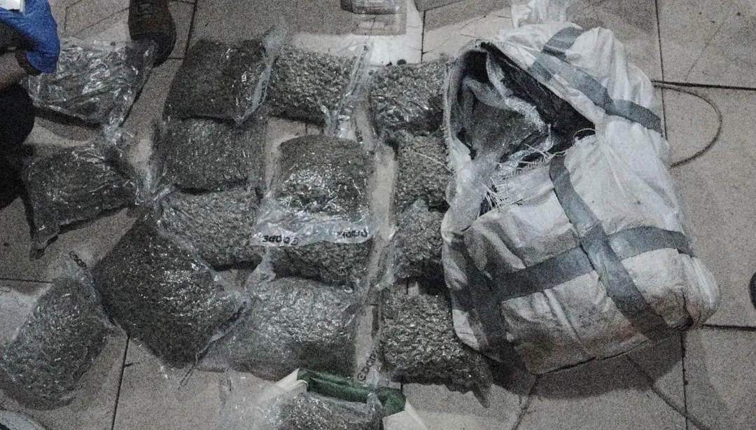大麻花均用真空包分裝。（圖／翻攝畫面）
