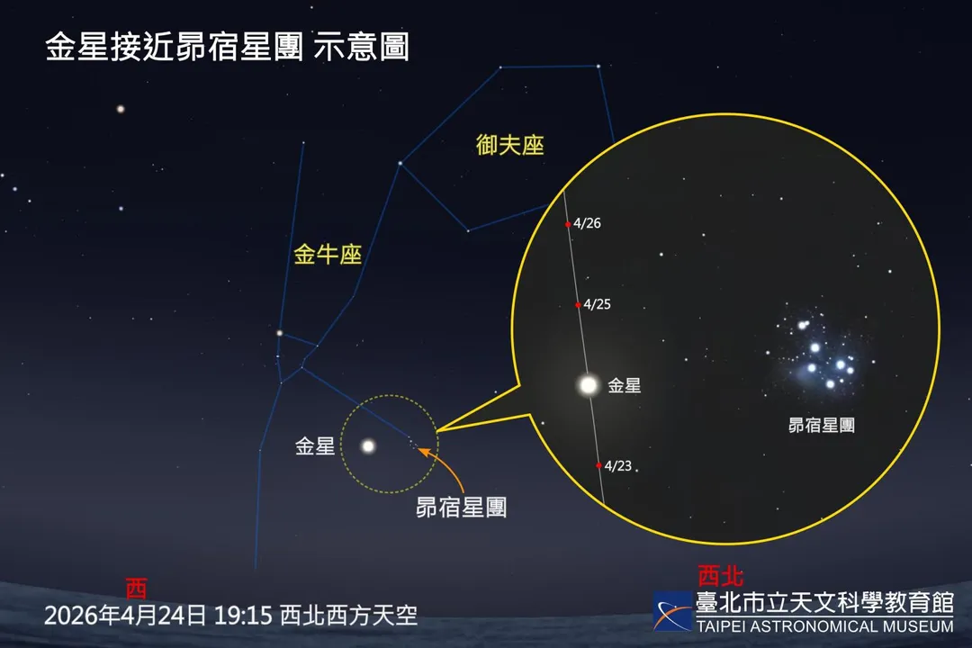 金星接近昴宿星團。(圖/台北市立天文科學教育館提供)