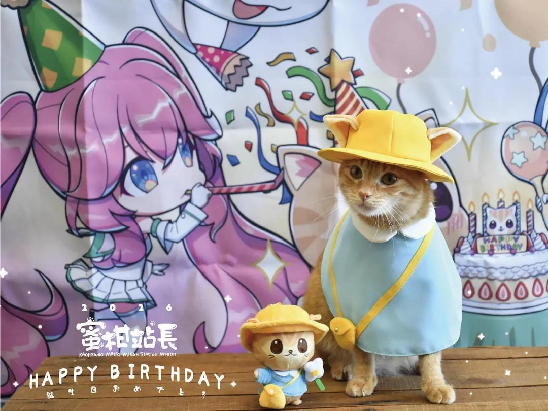 即將於4日迎來6歲生日的高雄捷運人氣貓站長蜜柑，近日因一段在廣播麥克風前發出規律呼嚕聲的影片在網路上引發熱烈迴響，超過3.2萬名網友按讚。（圖／高雄捷運提供）