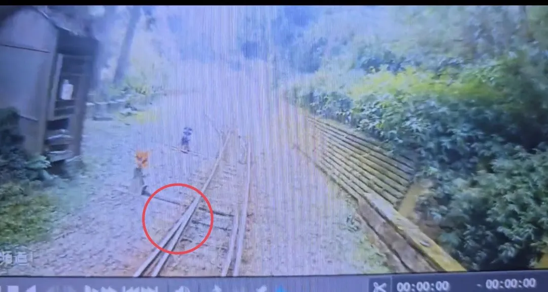 列車因轉轍器未扳轉至正確方向，導致擠軌情形並造成轉轍器損壞，最終延誤38分鐘、影響91名旅客。（圖／翻攝自記者爆料網）