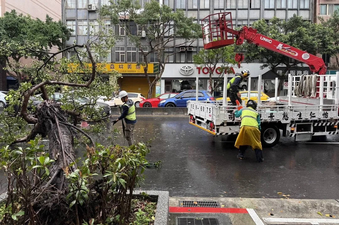 路樹倒塌造成2車閃避不及追撞。（圖／翻攝畫面）