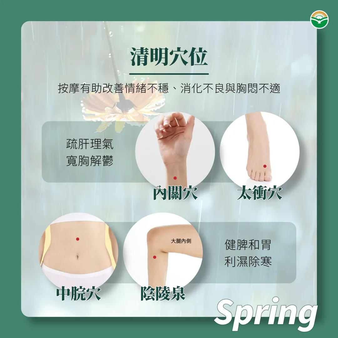 林姸余醫師建議每日早晚按揉內關穴與太衝穴以疏肝理氣，搭配中脘穴與陰陵泉穴可健脾利濕。（圖／馬光中醫診所）