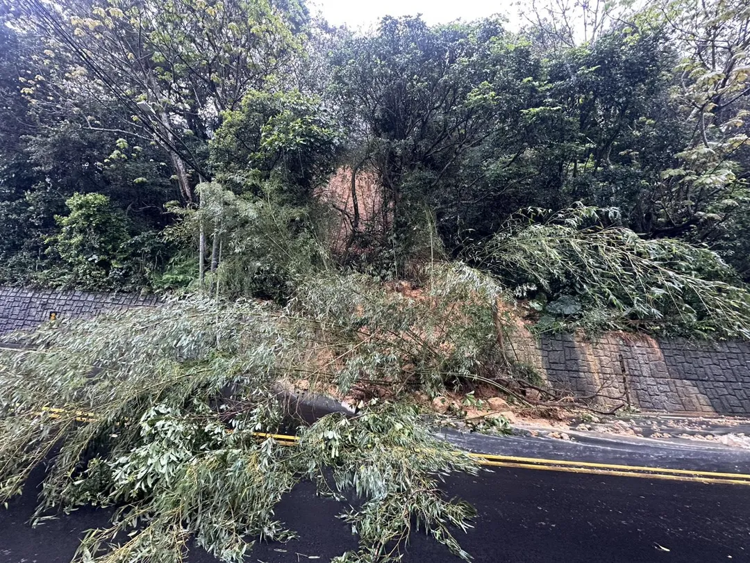 受大雨影響，桃園龜山區大坑路3段往林口方向今天上午7時許發生邊坡土石滑落與路樹倒塌。（圖／翻攝畫面）