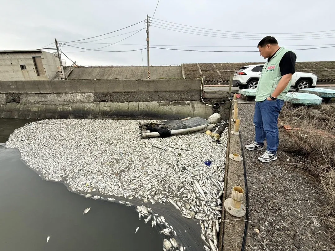 彰化縣芳苑鄉王功漁港旁水門8日被發現出現大量魚群死亡情形，初估死亡數量逾千尾，魚屍集中於排水口及水門周邊，水色呈現混濁甚至褐色。（圖／翻攝自彰化縣議員洪騰明臉書）