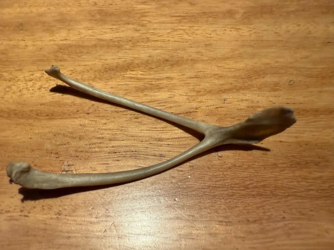 雞骨箸置。（圖／黃宏輝提供）